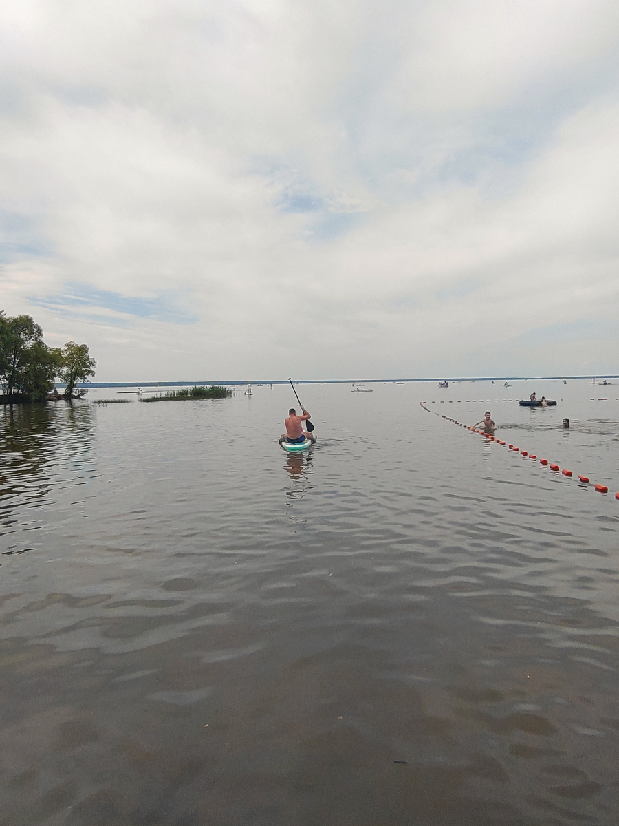 Флотилия из сапов. Фото автора