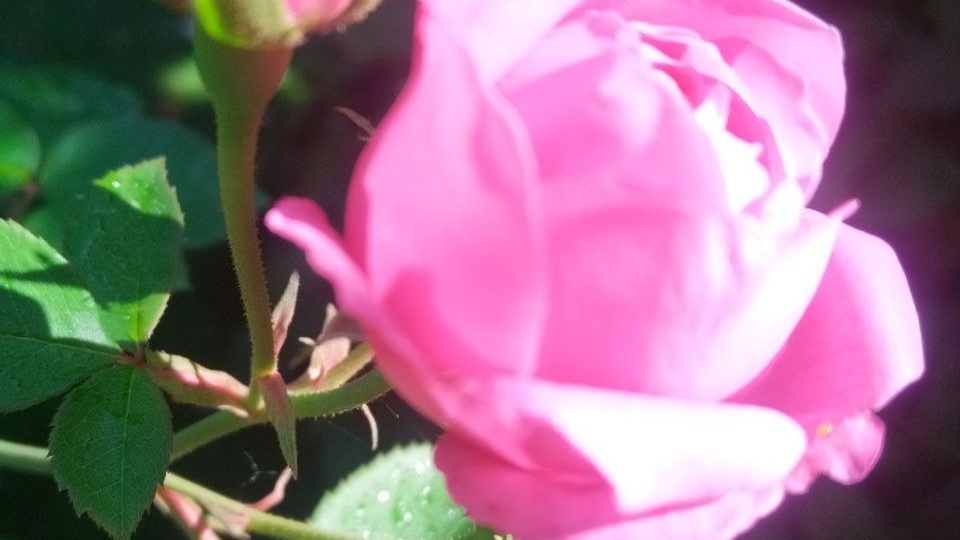 Доброе утро! Пятница