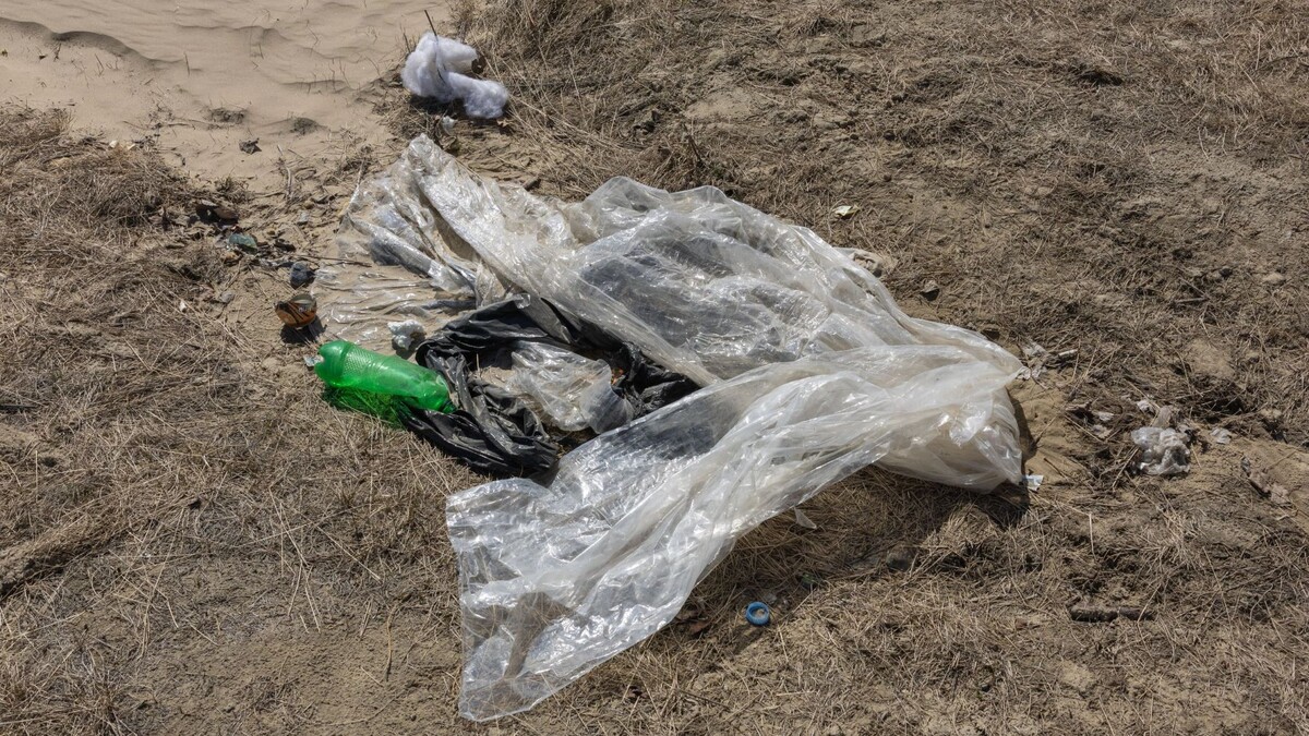    Фото: Александр Чирва/«Ямал-Медиа»