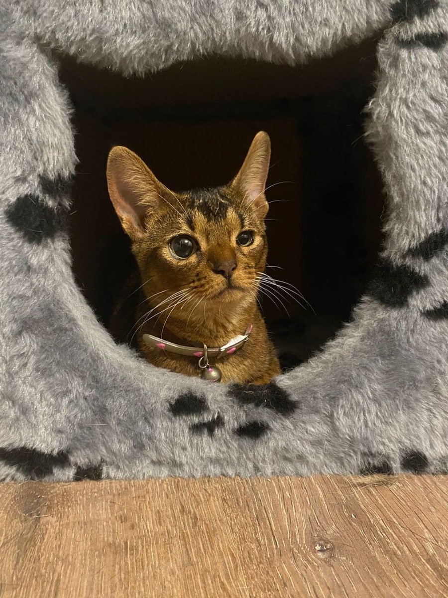 Чувствует себя полноправной королевой!