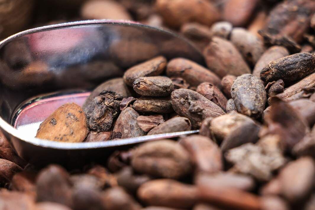 Фото: Global Look Press/Oliver Berg