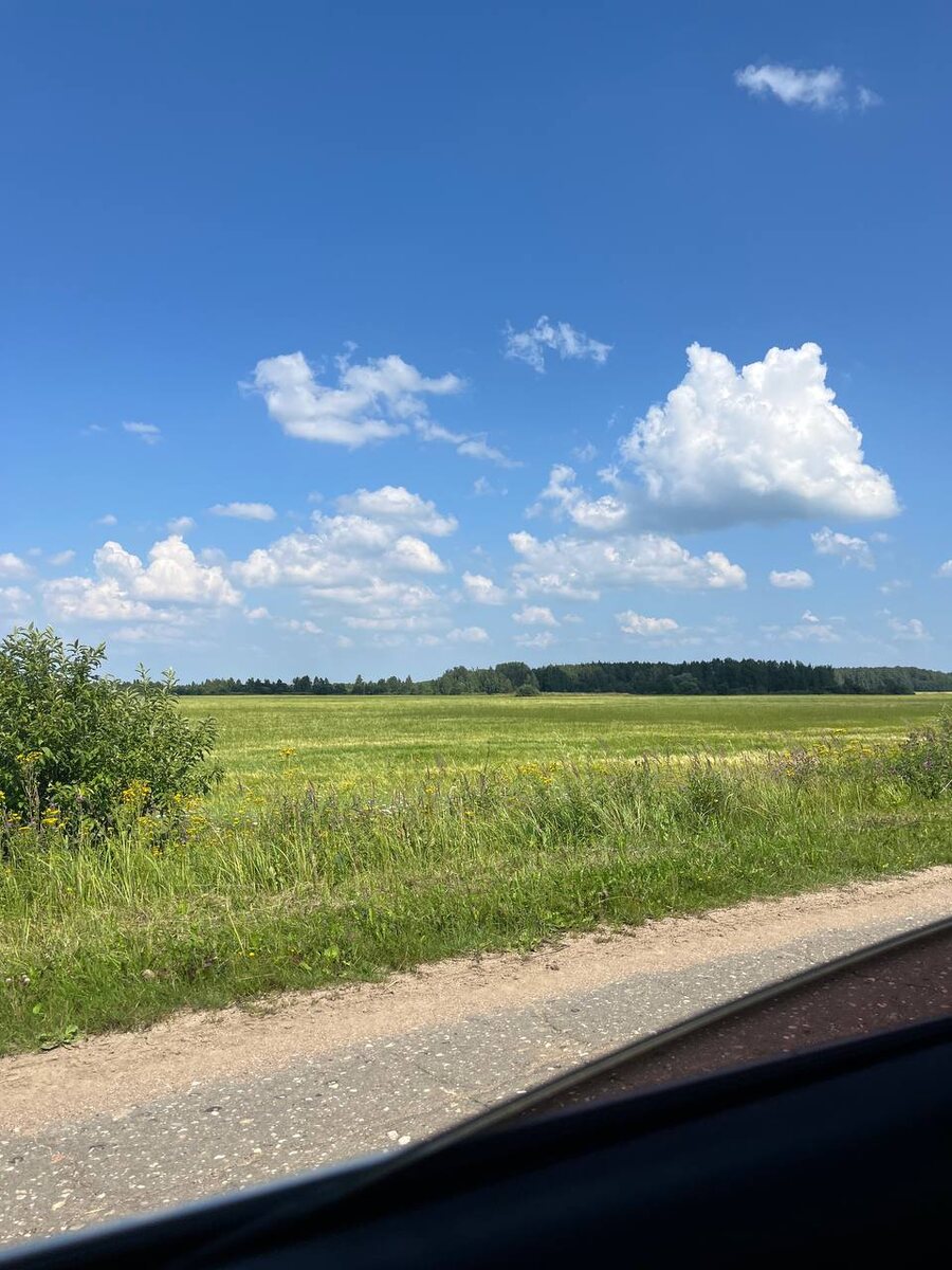 Поля Смоленщины