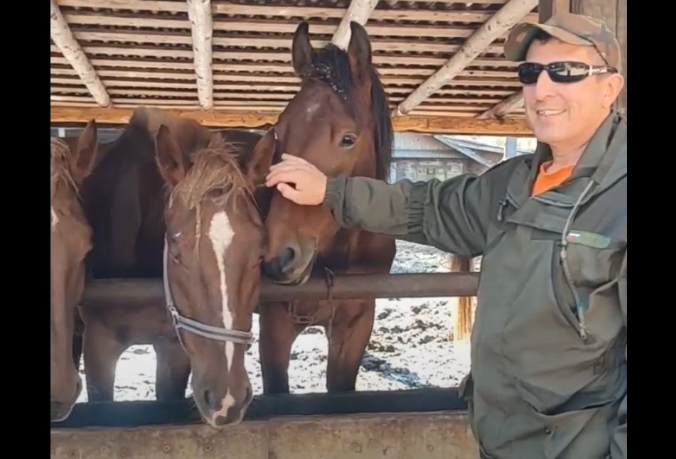 Конюшня на Селигере