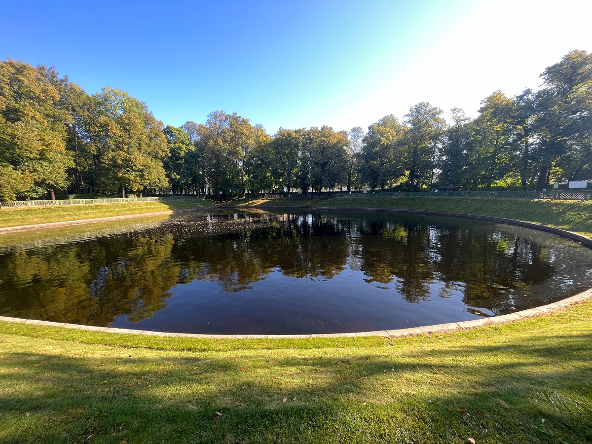 Карпиев пруд. Карпов нет, зато есть лебеди