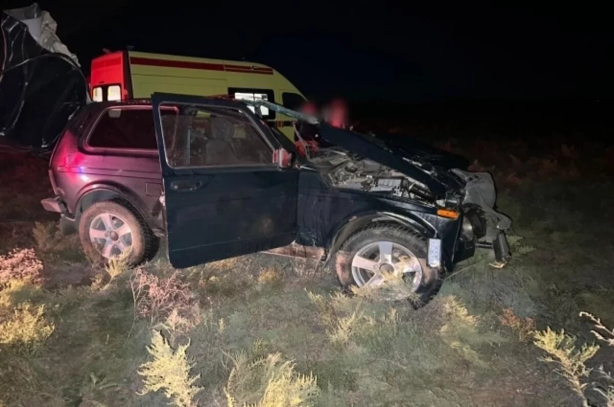    В Астраханской области ночью машина столкнулась с лошадью