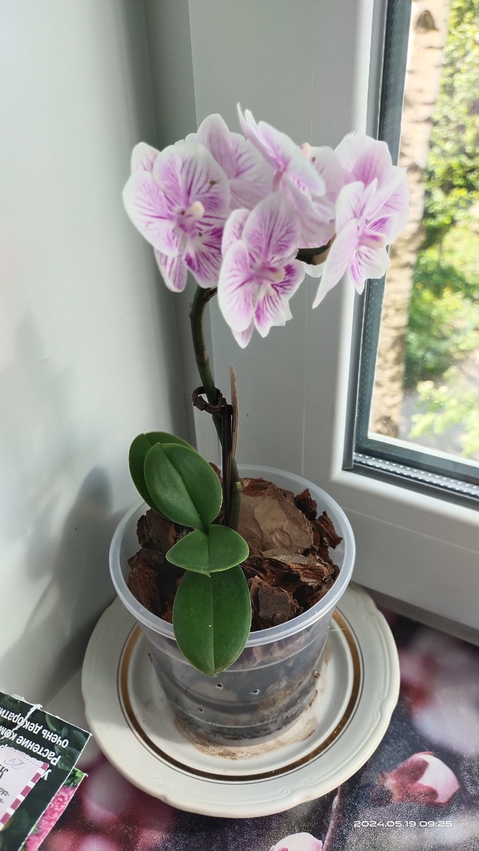 Это при покупке. Уже 19 мая 2024 года. 