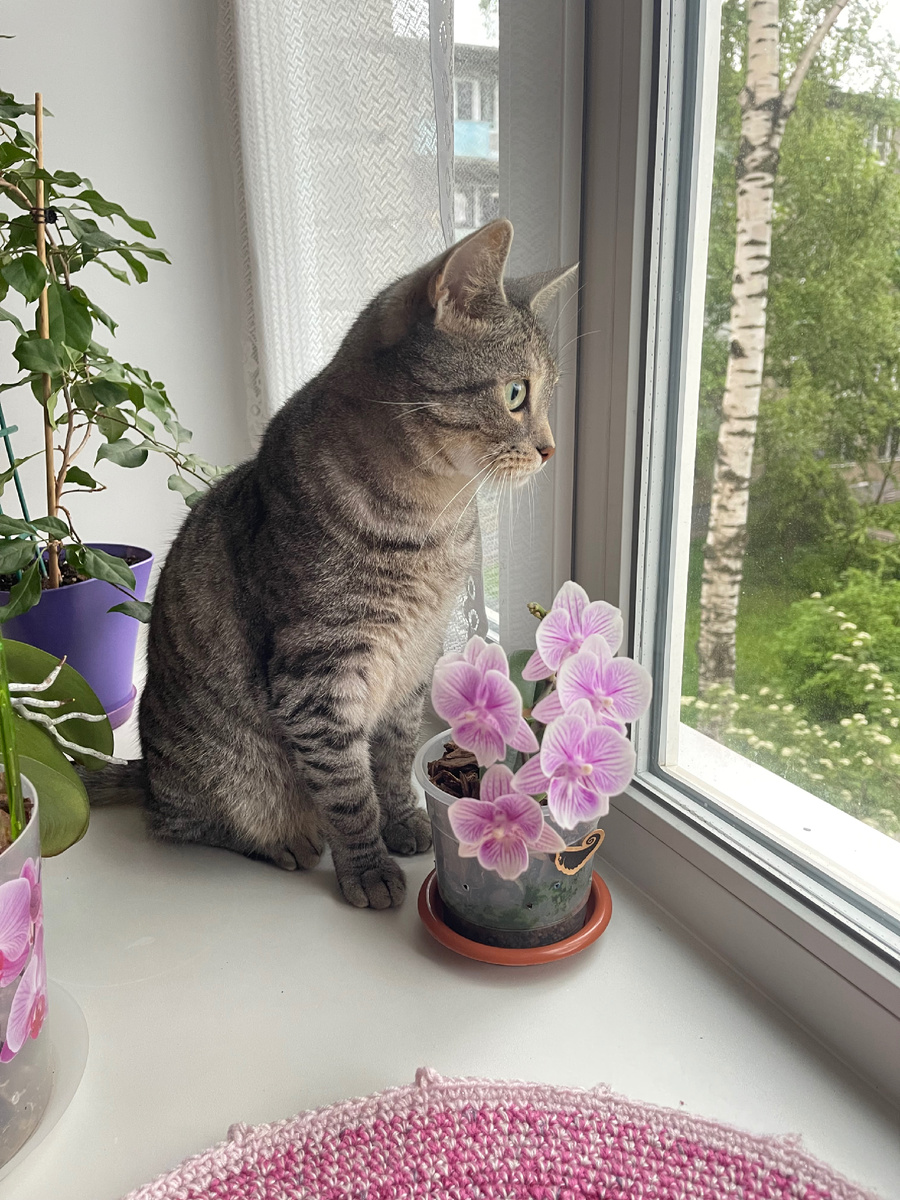 Май 2025 года. 