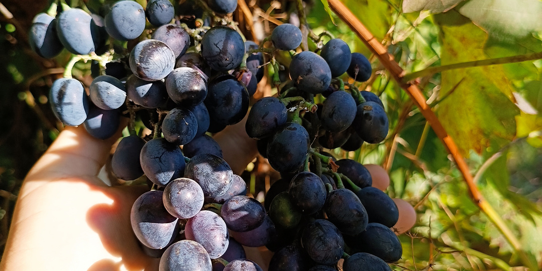 Лучше два месяца жара, чем полгода зима, думала я и ошибалась