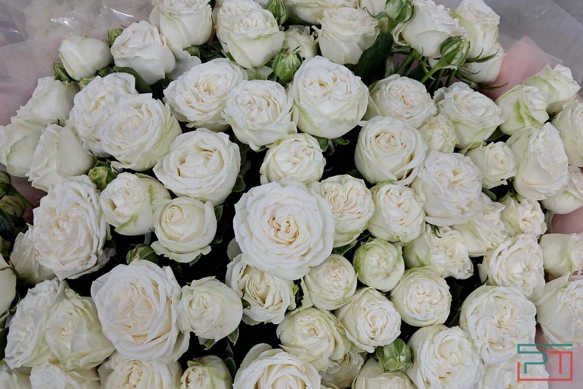 Фото: Юлия Бидун / «РТ»