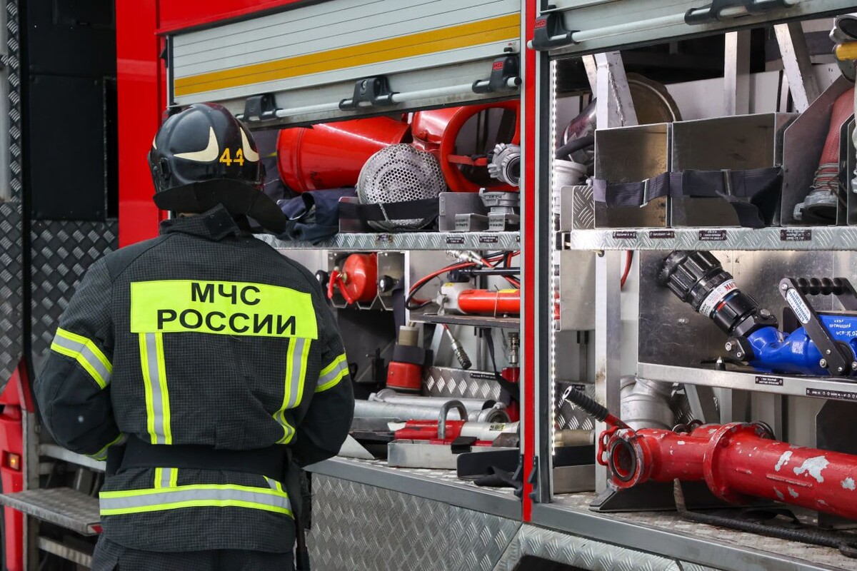     / Источник: © Belkin Alexey/Global Look Press