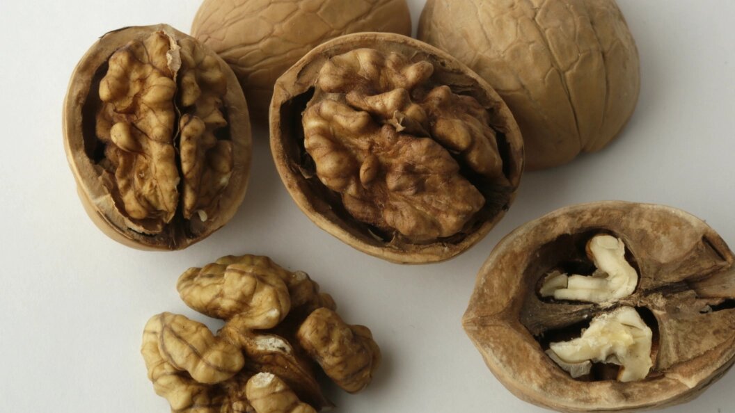    Nikolay Titov/Globallookpress