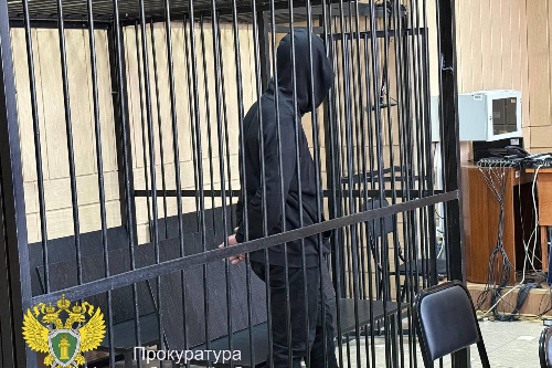    Фото: прокуратура НСО