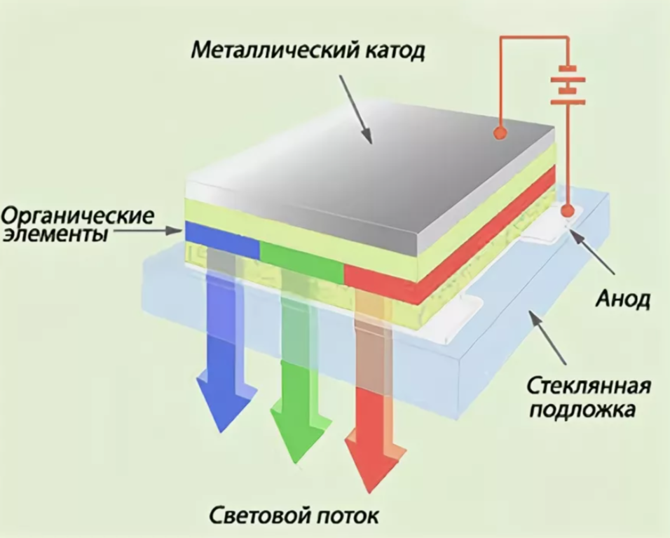 фото из открытых источников