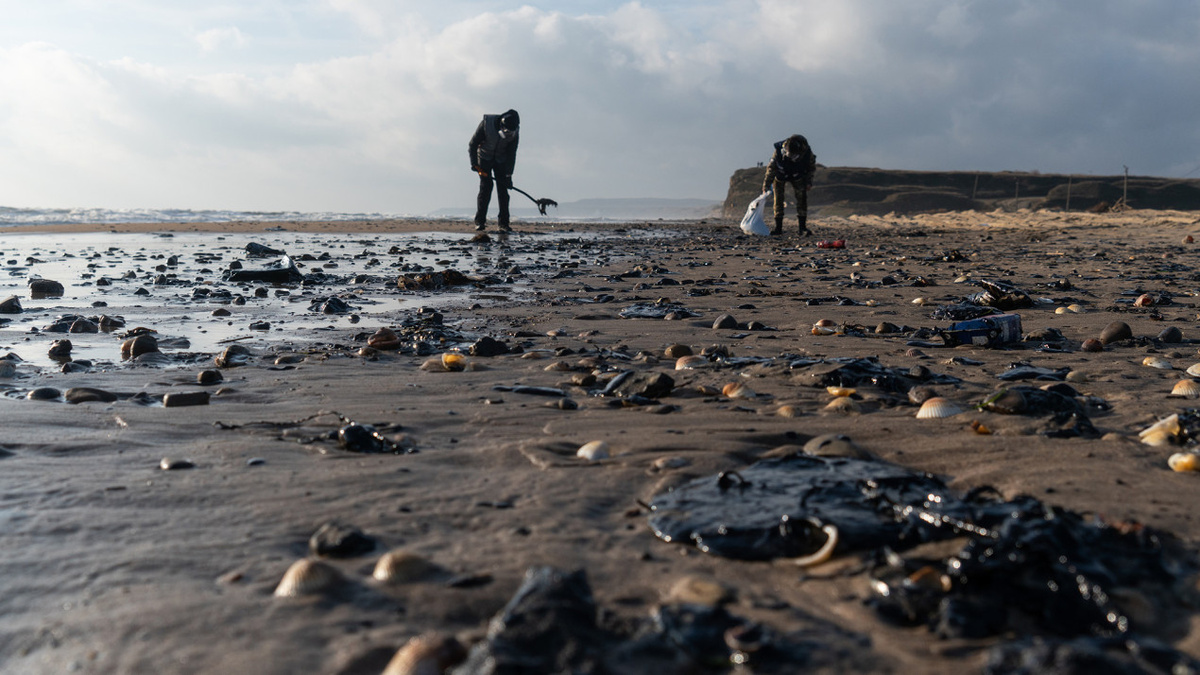 Черный берег Черного моря. Фото: Анна Юргенсон / пресс-служба РГО
