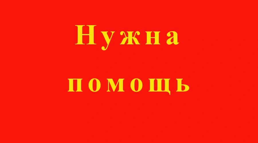    Фото: Cobalakovo, «Лиза Алерт»