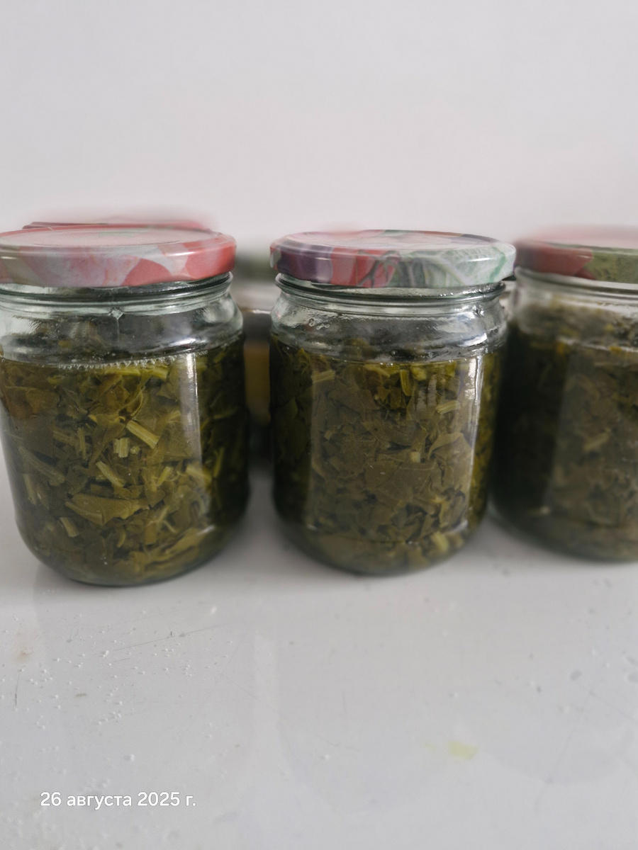 И щавель для зеленого супа тоже по банкам прячу. Ну, с ним все просто, только щавель, банки и кипяток. Даже без соли.