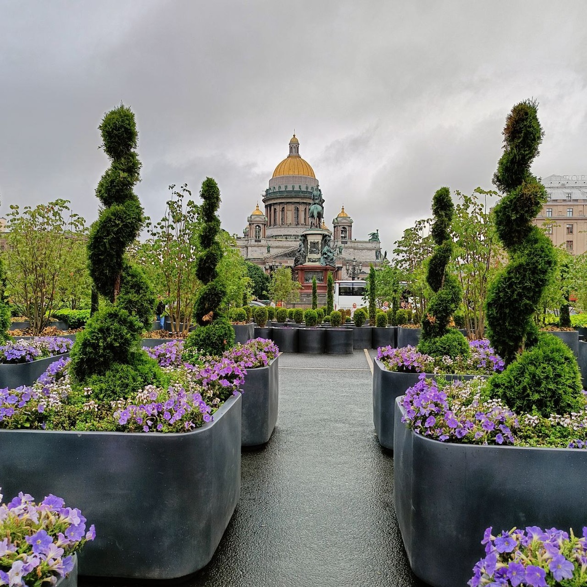 Сад-трансформер 2024, июль. Петербург