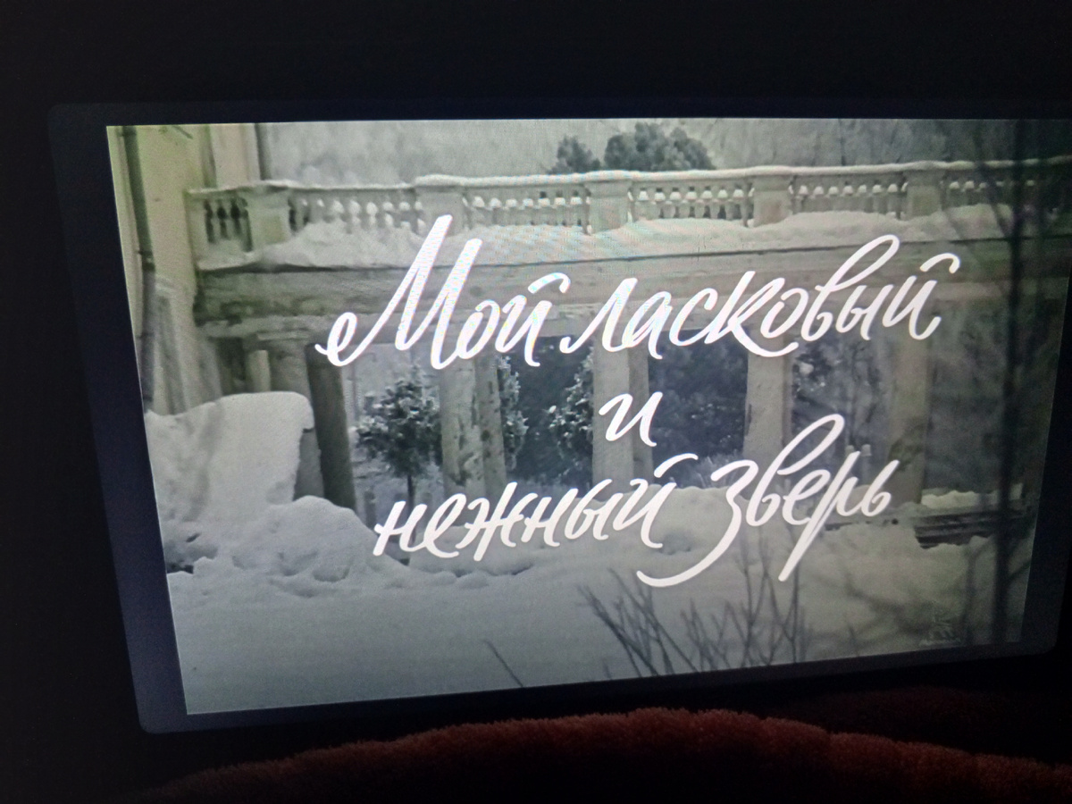 На планшете смотрела 