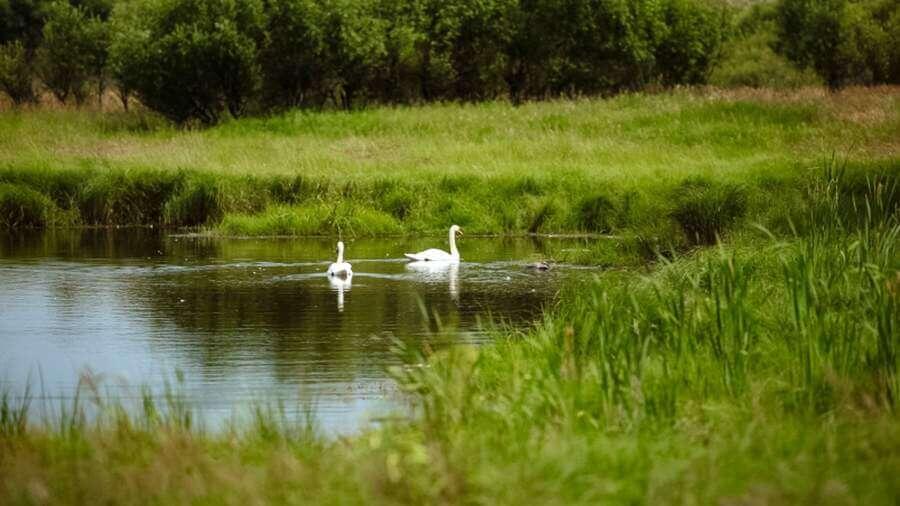    Фото: Правительство Амурской области