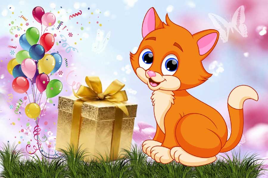 Для котов лучше картонная коробка, чем мягкая лежанка...