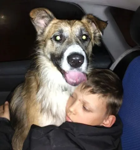 Тимофей и Джек