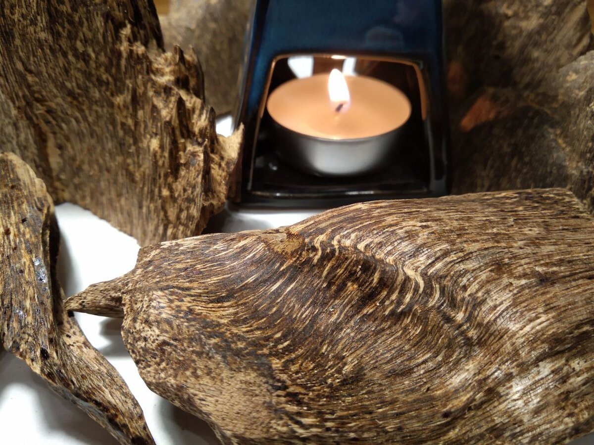 Изображение взято с сайта https://avatars.dzeninfra.ru/get-zen_doc/1917356/pub_62d796467b2d120d36963a2c_62d7ab249b5a844188b2ad89/scale_1200