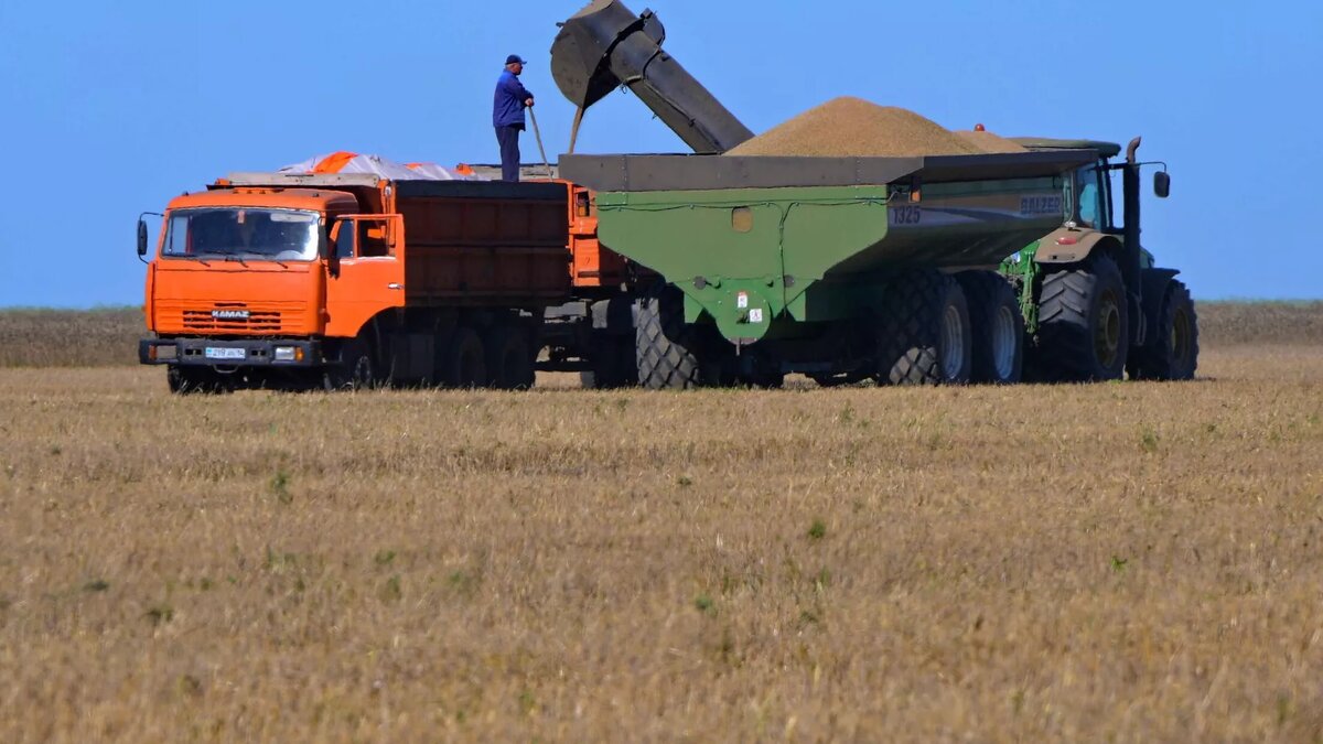 © Photo : канал пресс-службы акима Павлодарской области