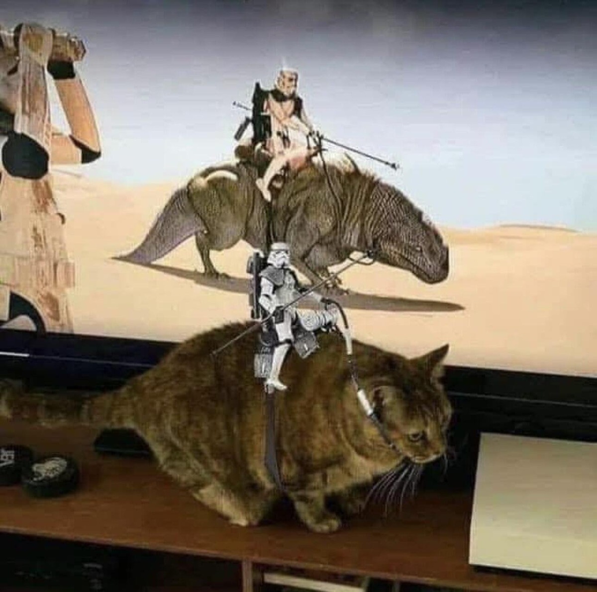 Когда ваш кот настолько крут, что даже штурмовики из Звёздных войн хотят ездить на нём в дальние галактики!
