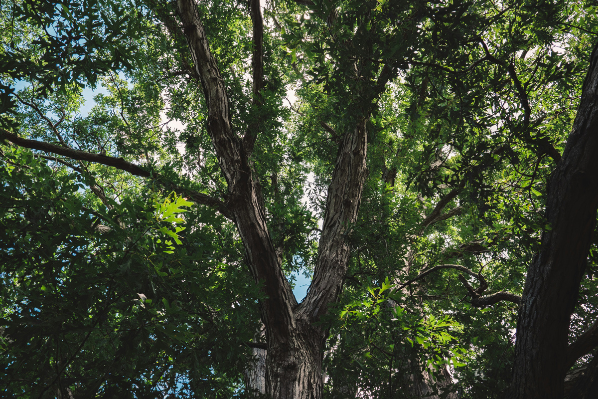    Снимок носит иллюстративный характер. Фото: Chris Bair / Unsplash.com