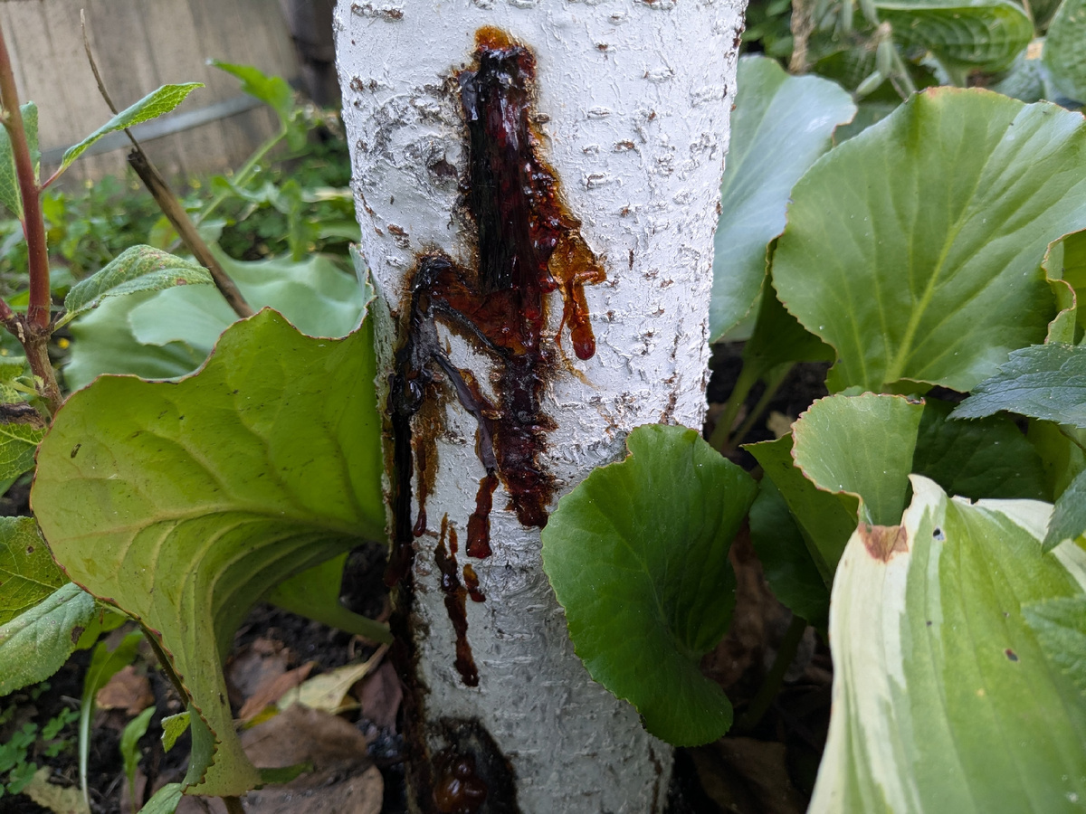 Пиши пропало?