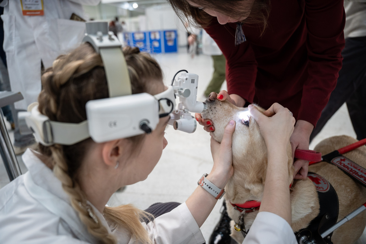 Фото: Александр Плонский / «ВиЖ»