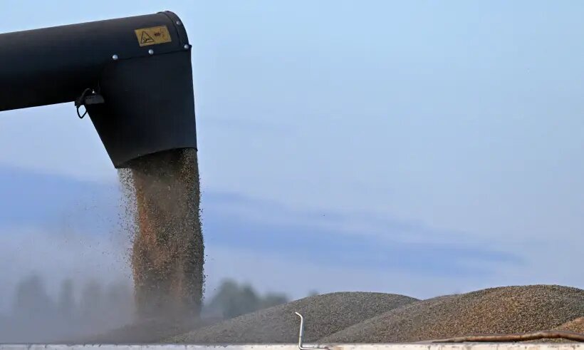     © РИА Новости. Илья Наймушин