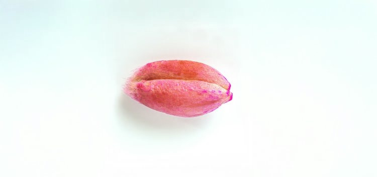    Эффективная защита семени в приоритете