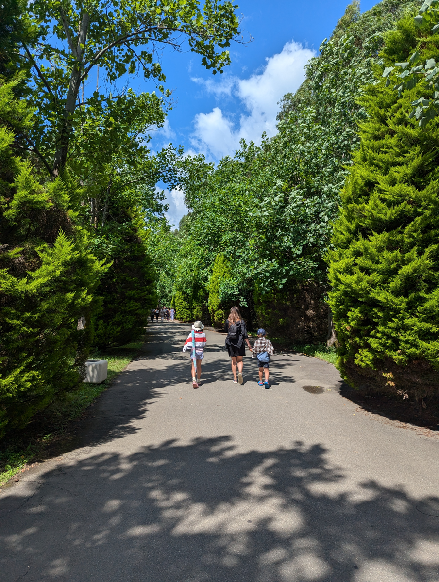 вокруг всё зелено