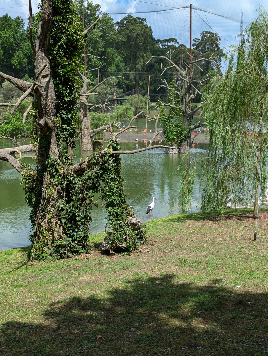 озеро - вольер