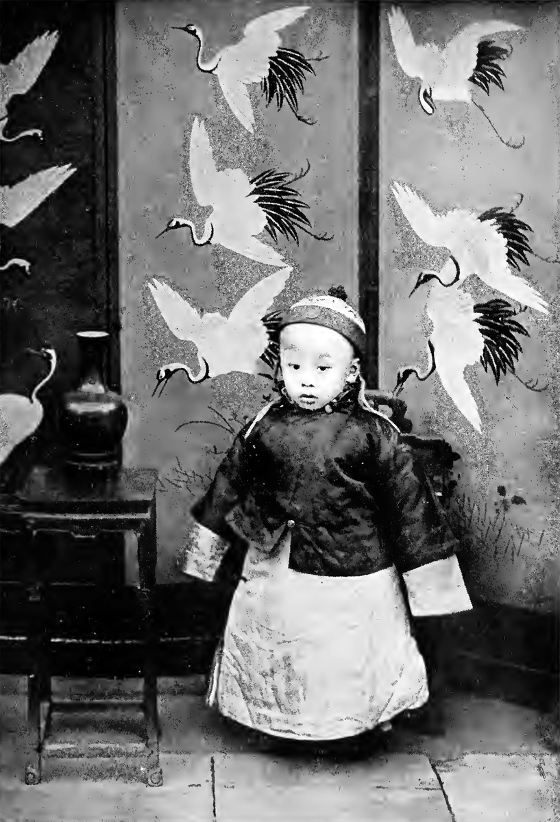 "Сын неба", Дополнительная подпись от автора: Puyi (溥儀).