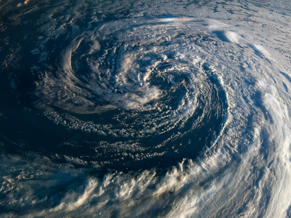 Triff / Shutterstock.com
