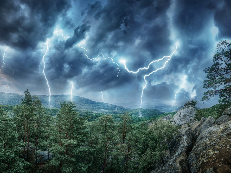 Triff / Shutterstock.com
