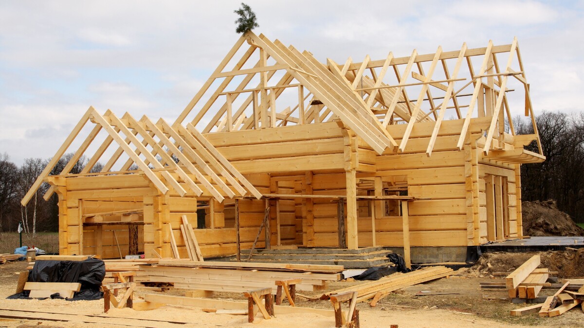 Фото: Shutterstock/FOTODOM/kaczor58