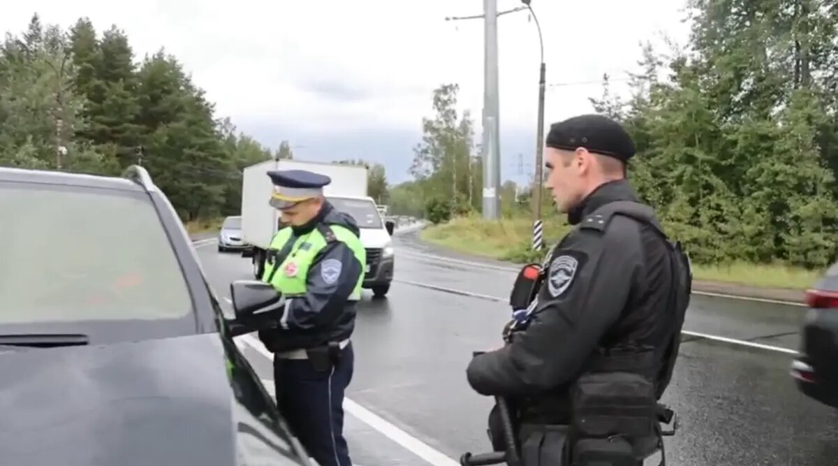    Фото: кадр видео ГУ МВД по Петербургу и Ленобласти