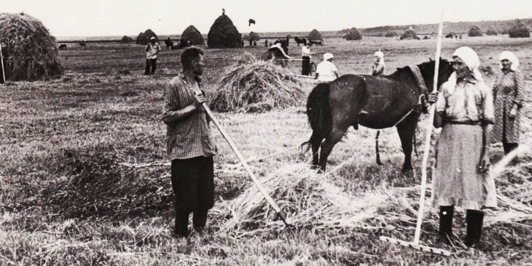 «Вольные, но не совсем свободные». Как крестьяне до 1861 года становились хлебопашцами на собственной земле?