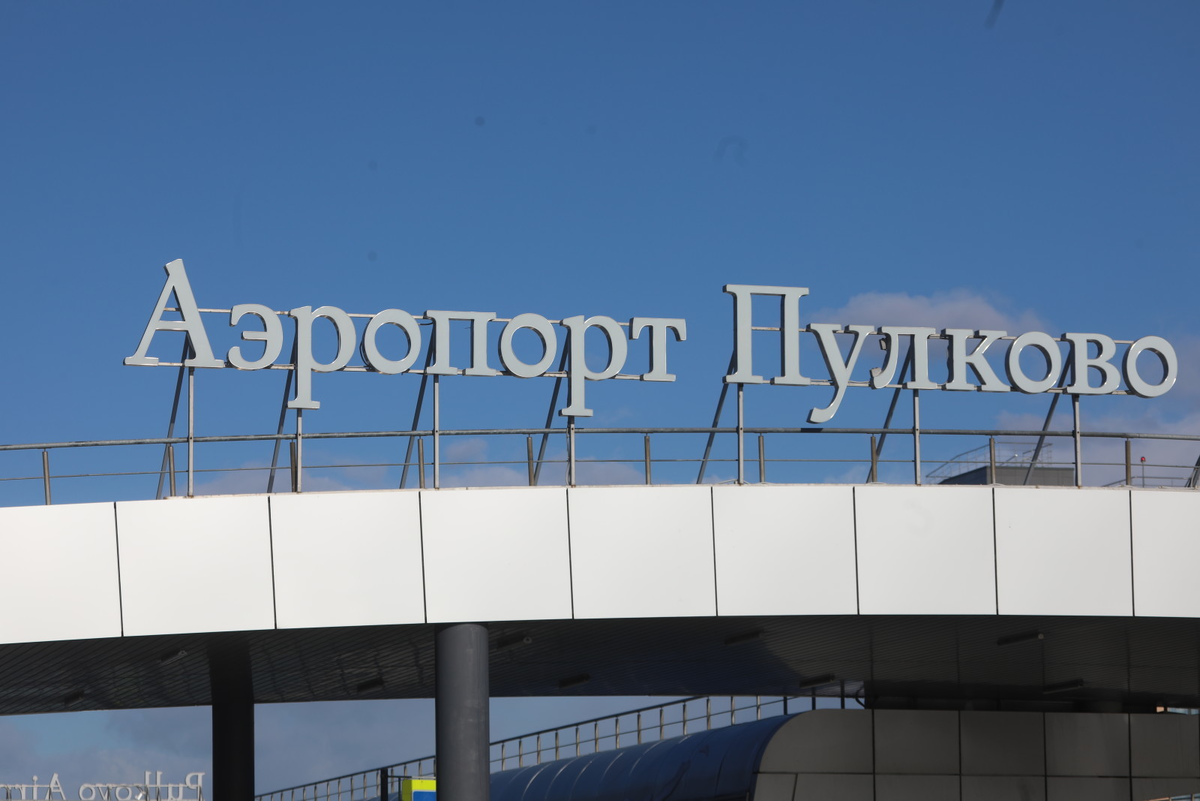 Роман Пименов/«Петербургский дневник»