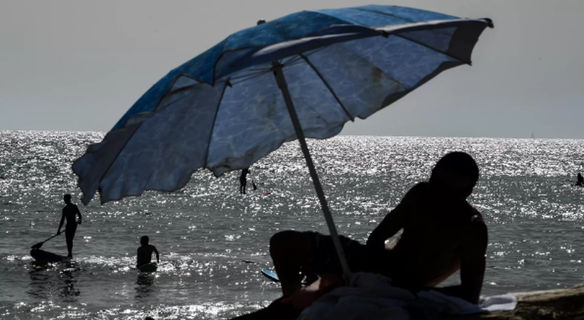    Фото: Владимир Астапкович, источник: РИА Новости