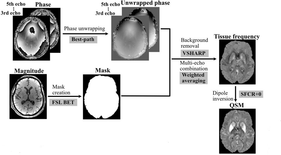   Chen et al. / Radiology, 2025