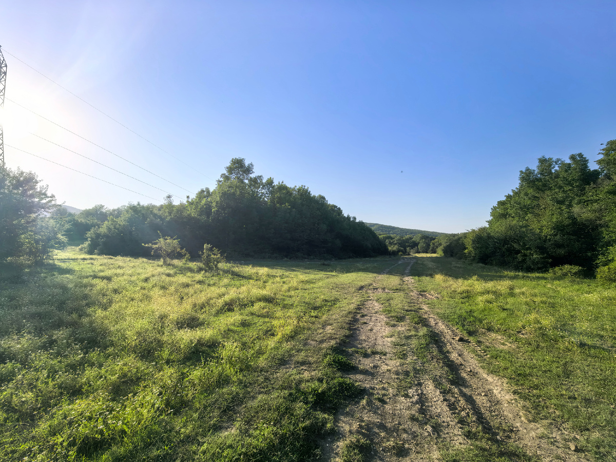 Дорога на четвёртой поляне. Прямо - третья поляна, налево - вторая.