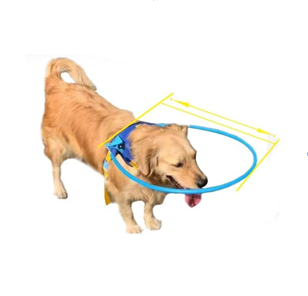 Такие приспособления можно купить или даже сделать своими руками. Как и с любой амуницией - не забудьте про этап приучения.