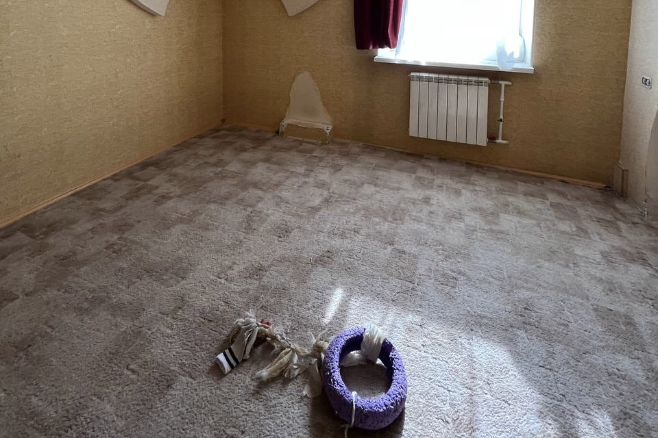 Бывшая игровая зона собаки: как выделение комнаты для питомца спасло ремонт и вернуло спальню владельцам