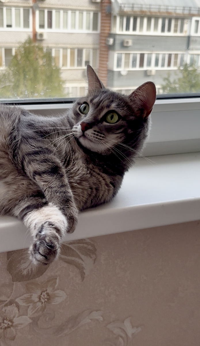 Очень рада гостю лысому