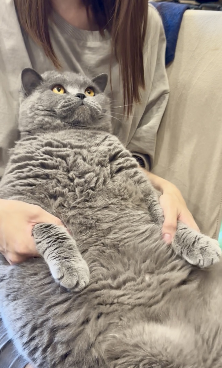 Как сидеть на диете, когда все вокруг жру.., ой, простите, кушают 😼