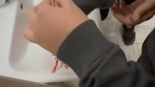    Фото: скрин видео НГС